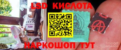 индика Новокубанск