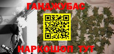 индика Новокубанск